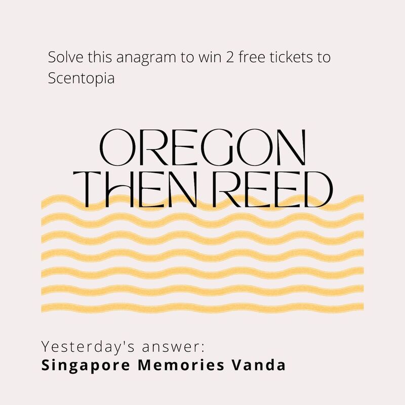 Singapore memories vanda is the result for yesterday scented anagram