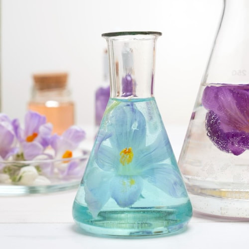 The Science Behind Scents