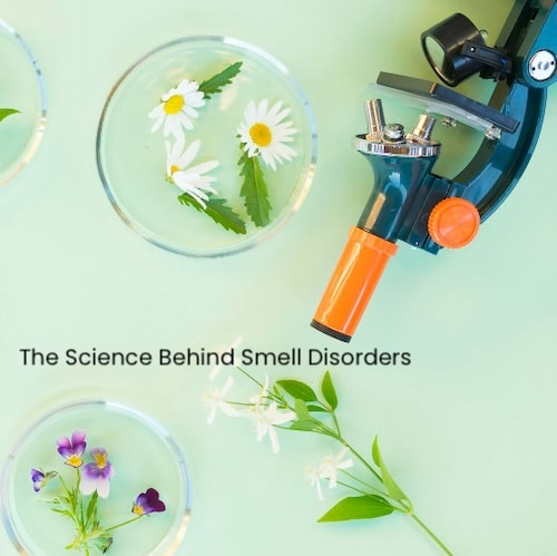 The Science Behind Smell Disorders