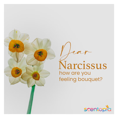narcissus perfume bottle at scentopia singapore