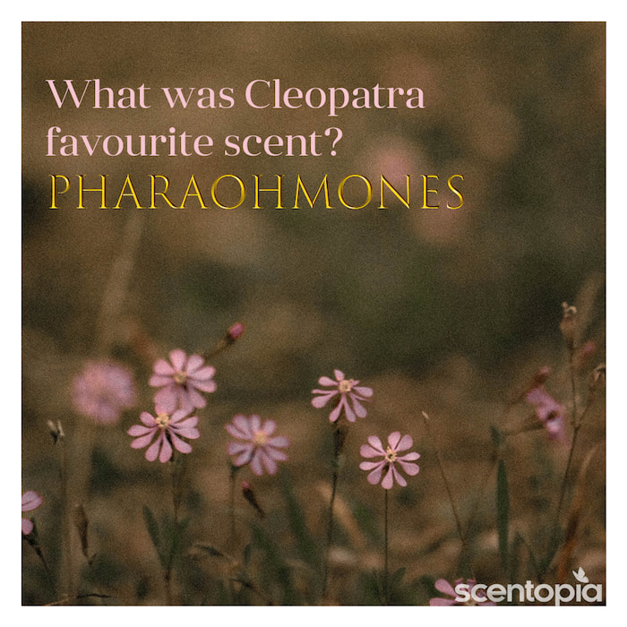 Cleopatra favourite scent? PHARAOHMONES