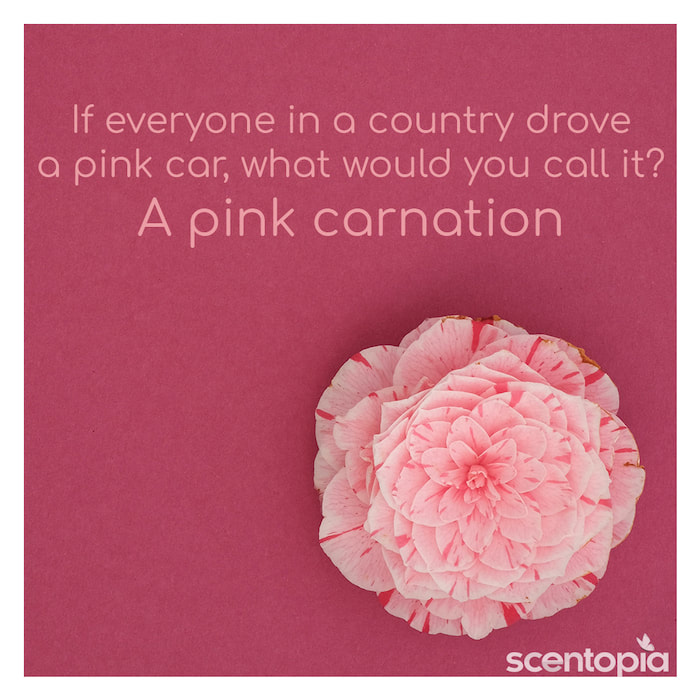 Car joke - A pink car nation