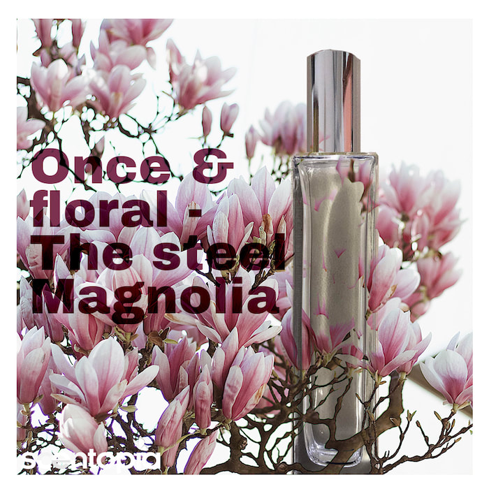 once and floral, the steel magnolia