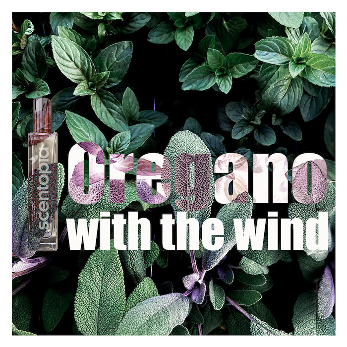 oregano with the wind