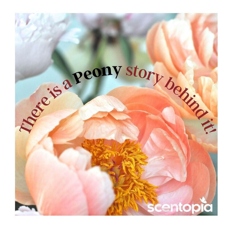 there is a peony story behind it
