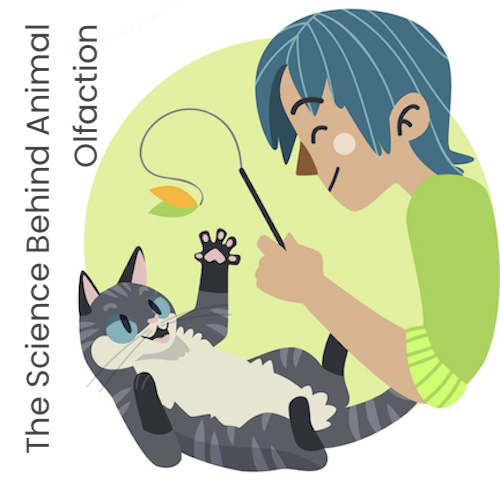 The Science Behind Animal Olfaction